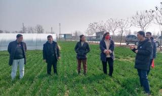 河南沈丘县属于哪个市 河南沈丘县属于哪个市